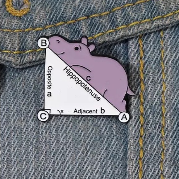 1 LEFT‼️ Math Hippo Enamel Pin Punny Hippopotamus Badge Geometry Student Joke - Picture 2 of 6